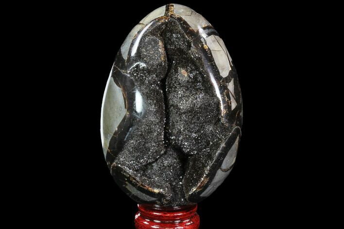 Septarian Dragon Egg Geode - Black Crystals #88500